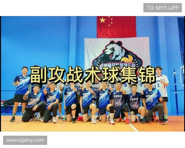 广州排球队反击体系解析与战术运用探讨