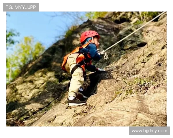 武汉攀岩队的奋斗与荣耀：一段不懈追求的攀岩之旅纪实